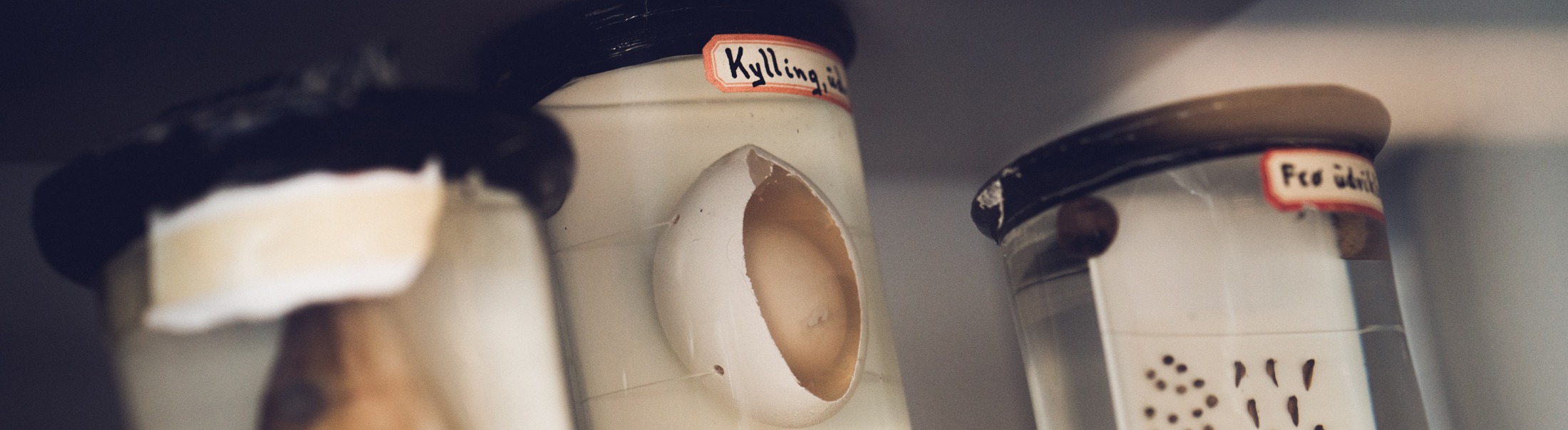 Foto af æg lagt i et glas med sprit.